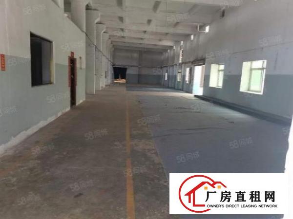  厚街新出超低价报价13块单一层砖墙到顶7米高厂房1000平方