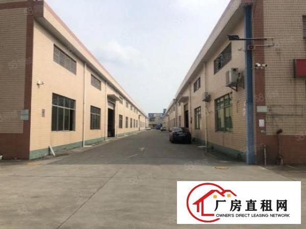  实图（原房东花园式单一层）厚街新空2500方可分租