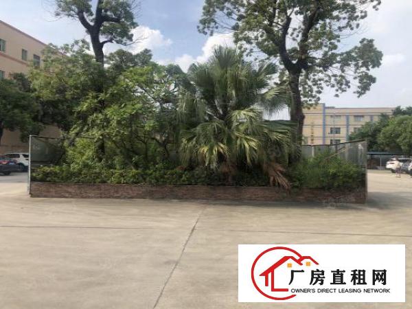  实图（原房东花园式单一层）厚街新空2500方可分租