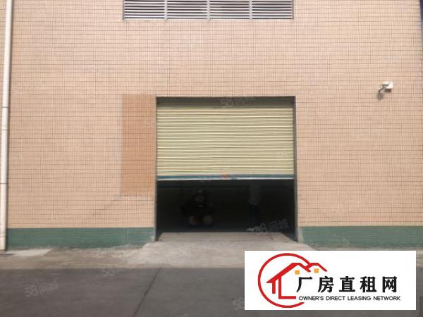  实图（原房东花园式单一层）厚街新空2500方可分租