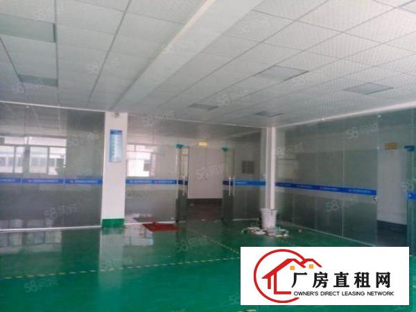  双岗新出原房东精装修500方厂房出租，带地坪漆