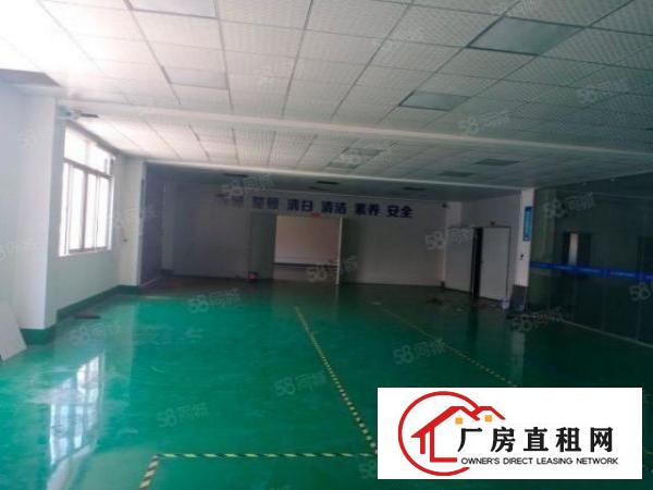  双岗新出原房东精装修500方厂房出租，带地坪漆