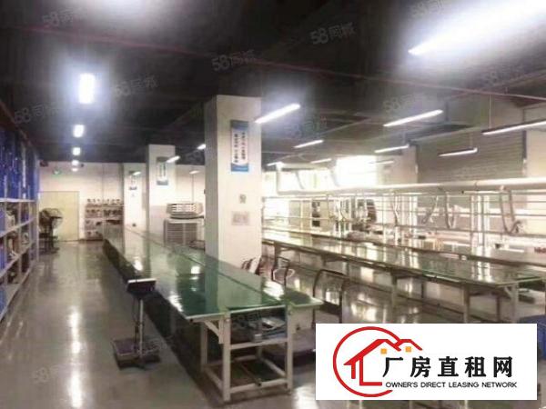  新塘1200方精装修厂房房东跳楼价甩租，先到先得