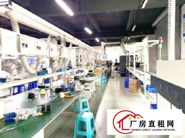  新塘1200方精装修厂房房东跳楼价甩租，先到先得