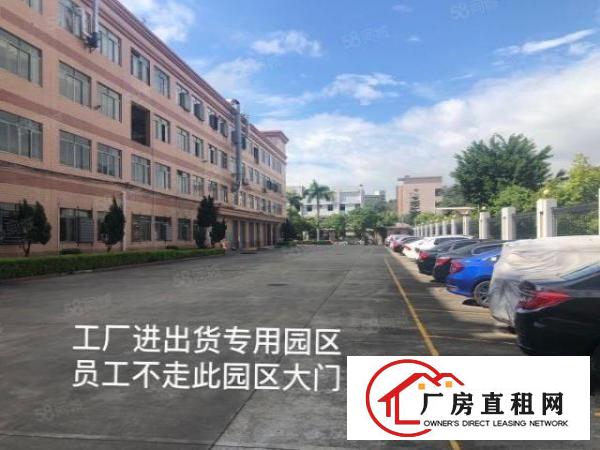  实图（原房东花园厂房）厚街一楼7500方公摊少使用率高。
