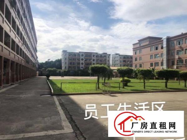  实图（原房东花园厂房）厚街一楼7500方公摊少使用率高。