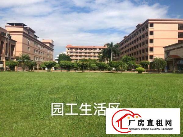  实图（原房东花园厂房）厚街一楼7500方公摊少使用率高。