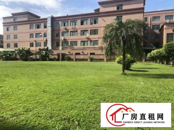  实图（原房东花园厂房）厚街一楼7500方公摊少使用率高。