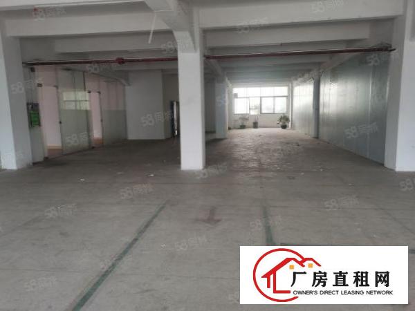  现有办公室2000平方厂房出租采光通透电梯到车间形象好空地大