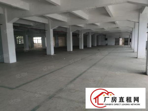  现有办公室2000平方厂房出租采光通透电梯到车间形象好空地大