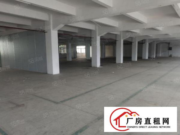  现有办公室2000平方厂房出租采光通透电梯到车间形象好空地大