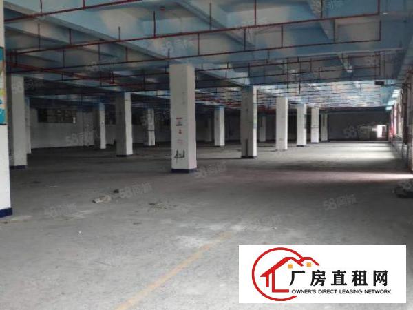  厚街大型工业园新出二楼5000平（可分租）带鞋材环评厂房出租