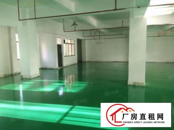  厚街宝塘740平超原房东独门独院可分租大车好进出