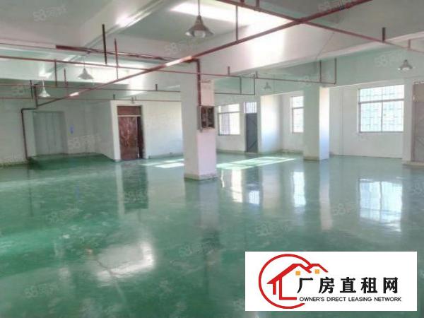  厚街宝塘740平超原房东独门独院可分租大车好进出