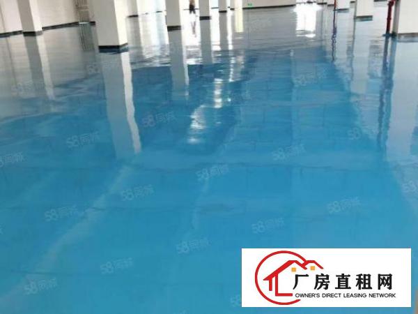  下汴村原房东厂房出租二楼2000平可分租可分租