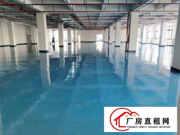  下汴村原房东厂房出租二楼2000平可分租可分租