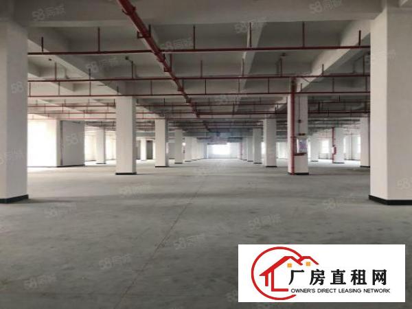  实图（全新工业4.0厂房）厚街楼上单层5767平方可分租。