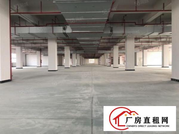  实图（全新工业4.0厂房）厚街楼上单层5767平方可分租。