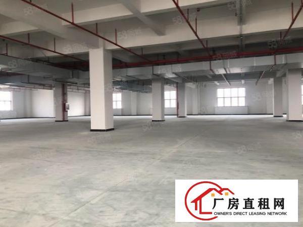  实图（全新工业4.0厂房）厚街楼上单层5767平方可分租。