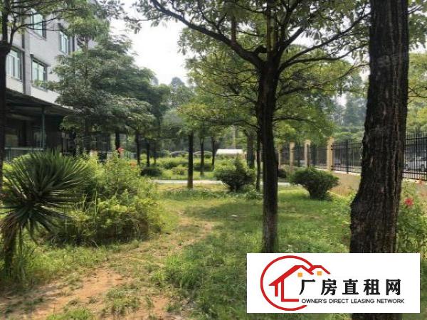  实图（花园式高新产业园）厚街一楼1800方行业适合广泛。