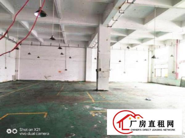  桥头新出800方一楼精装修厂房出租，惊爆价租