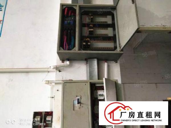  桥头新出800方一楼精装修厂房出租，惊爆价租