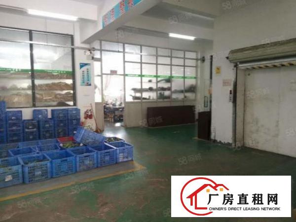  厚沙路空出楼上一整层3000方精装修厂房出租，大小可分