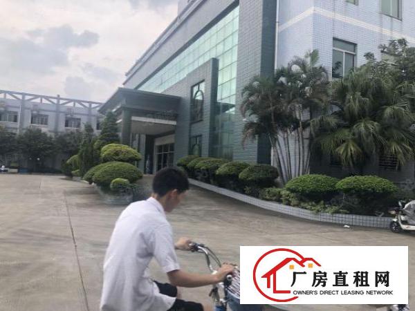  实图（花园式厂房可分租）厚街一楼3500平方现成装修办公室
