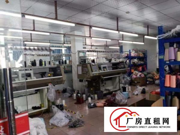  厚街涌口标准厂房一楼1800平，独栋办公楼配套，水电齐全