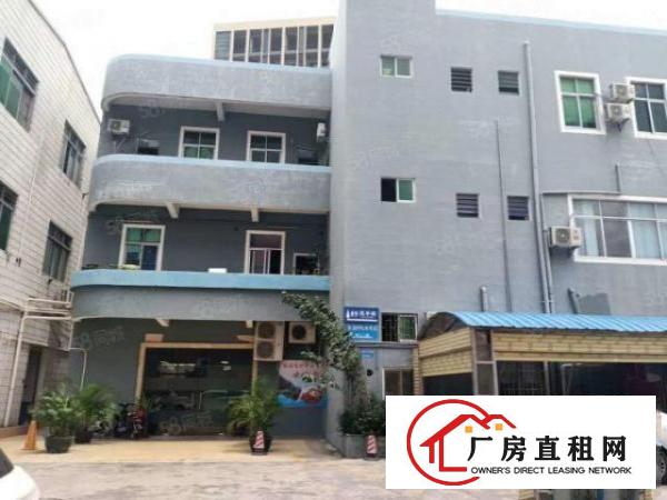  厚街涌口标准厂房一楼1800平，独栋办公楼配套，水电齐全