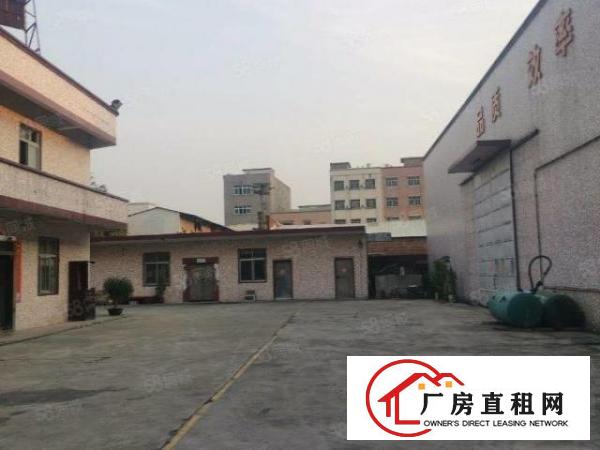  出租厚街原房东单一层钢构950平独门独院