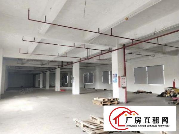  汀山原房东厂房出租超低价