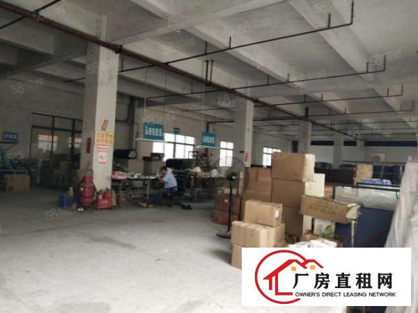  汀山原房东厂房出租超低价