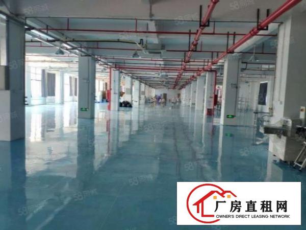  厚街全新带装修1500平方厂房出租仓库出租实业客转让