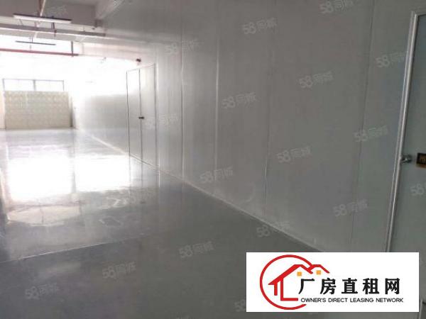  厚街全新带装修1500平方厂房出租仓库出租实业客转让