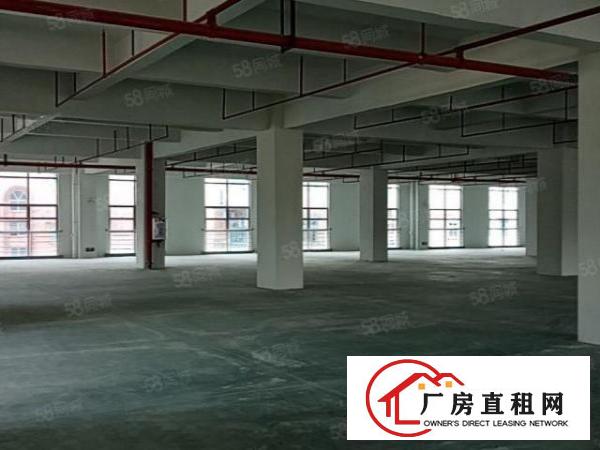  高端产业园楼上3000平火爆招租，适合各行业