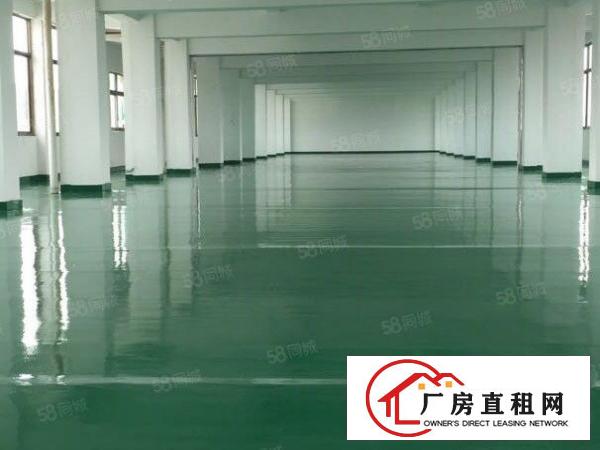  厚街莞太路楼上1300方全新装修行业不限