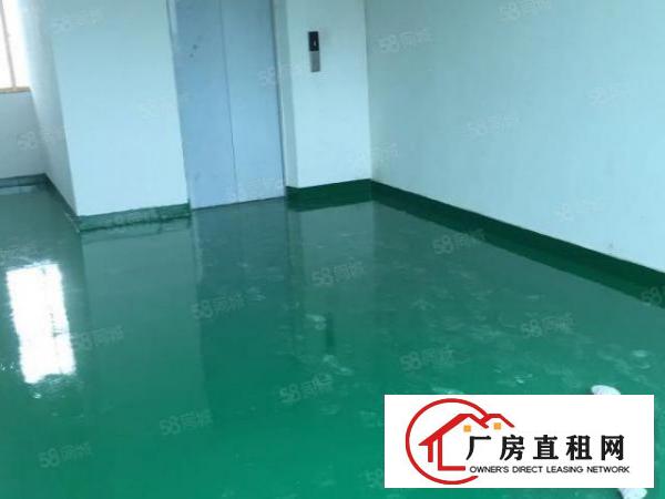  厚街莞太路楼上1300方全新装修行业不限