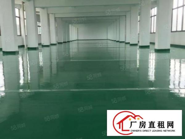  厚街莞太路楼上1300方全新装修行业不限