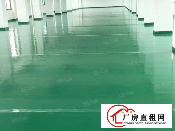  厚街莞太路楼上1300方全新装修行业不限
