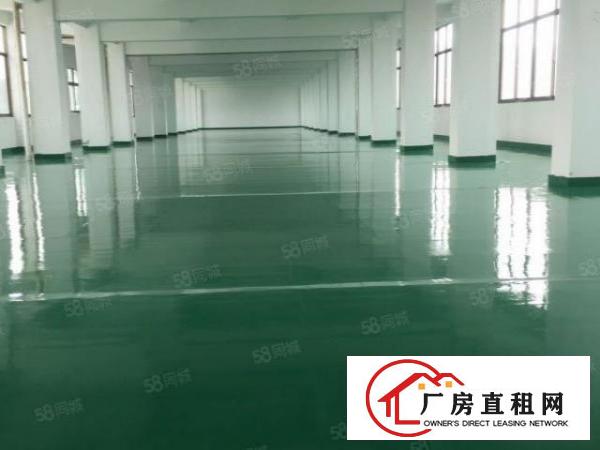  厚街莞太路楼上1300方全新装修行业不限