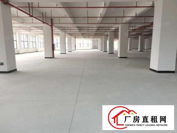  全新厂房招租配套齐全空地1万平方面积大小可分租