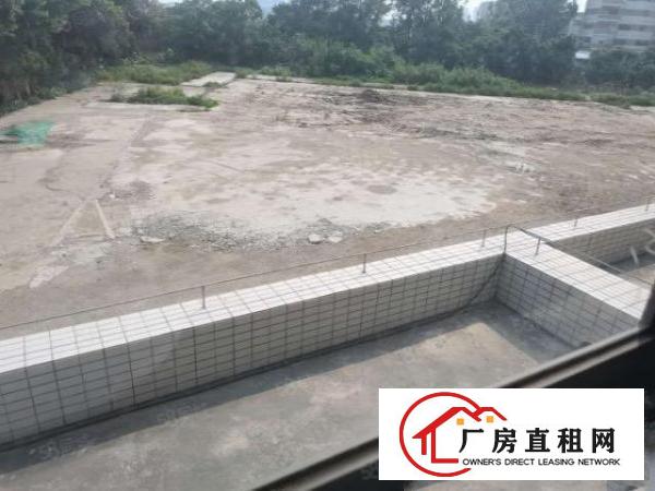  全新厂房招租配套齐全空地1万平方面积大小可分租