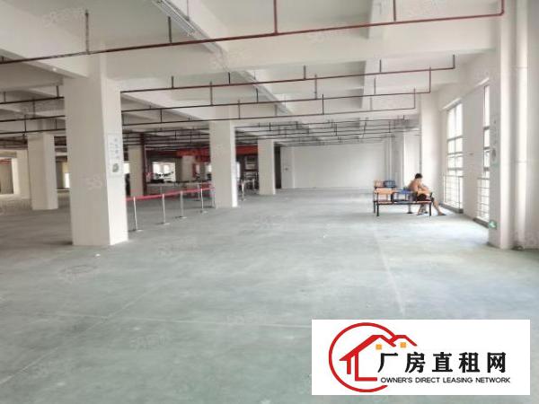  厚街新出原房东2750平厂房方正好用形象非常好交通四通八达