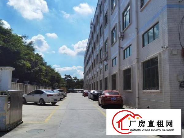  厚街新出原房东2750平厂房方正好用形象非常好交通四通八达