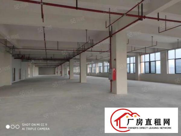  上市公司高新科技企业，厚街原房东花园式独院厂房，证件齐全
