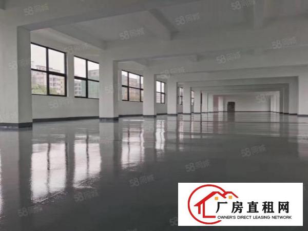  厚街村新建定制6500平方厂房带卸货平台价格优形象佳