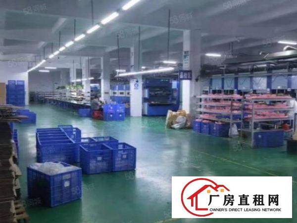  厚街桥头新出稀有一楼厂房1400平带装修