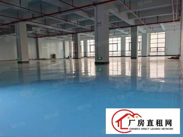  下汴村标准全新厂房招租