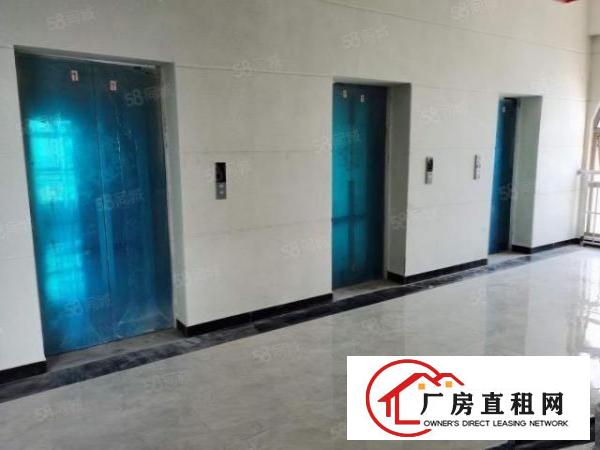  （全新欧式厂房出租）单层面积3300平方出租